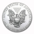 2022 Amerikanskt silver Eagle-mynt (1 troy uns)